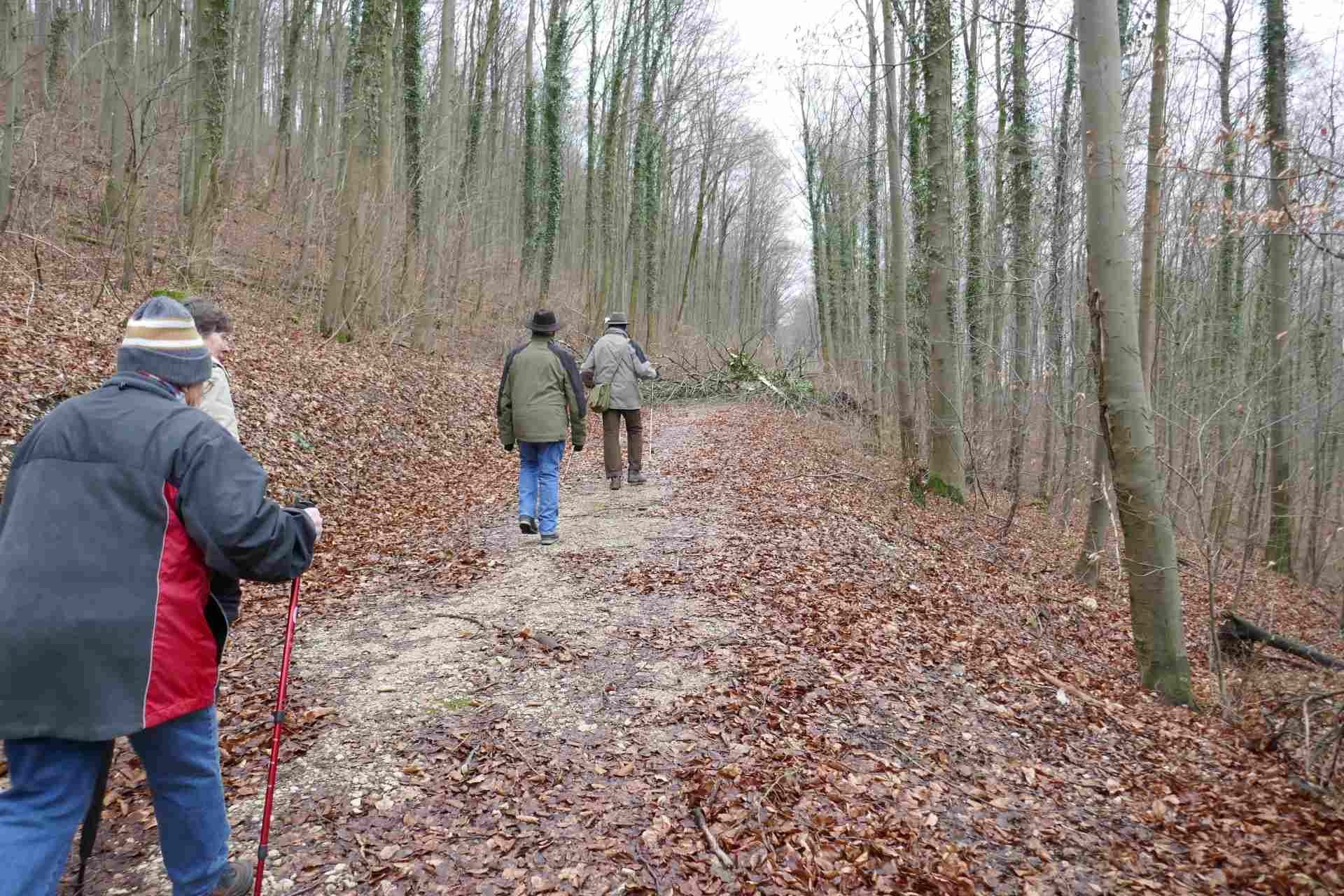 02 Februar - am Braunenberg beim Winkenloch
